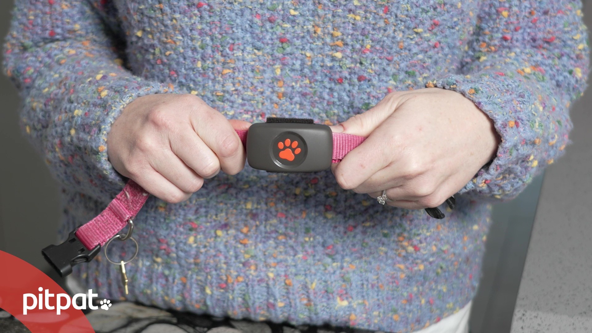 Product video image Pitpat on collar